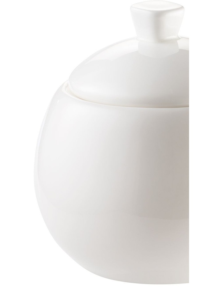 Alex Liddy Aquis Sugar Bowl image 5