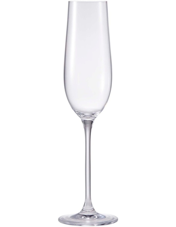Alex Liddy Vina 4 Piece Champagne Glass Set 235ml image 2