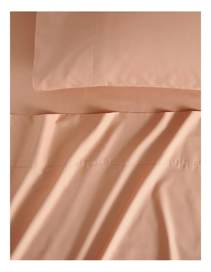 Sheridan 500TC Egyptian Cotton Sheet Set In Peach Blush MYER