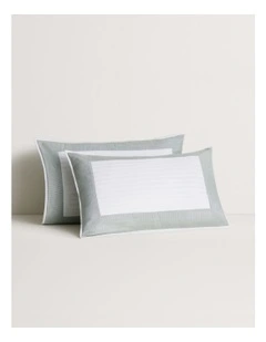 Reframed Sham in Vine