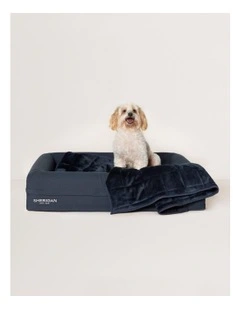Poppet Pet Blanket in Midnight