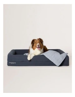Reilly Stripe Pet Blanket in Atlantic