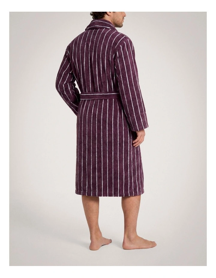 Aven Dad Stripe Robe in Clove image 3