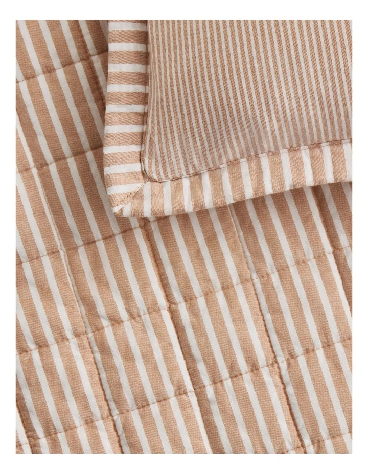 Reilly Stripe Duo European Sham in Spice image 3