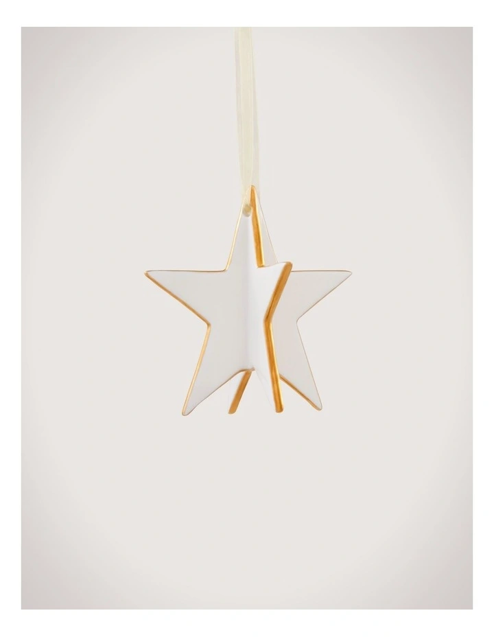Gold Tip 8cm Star in White image 1