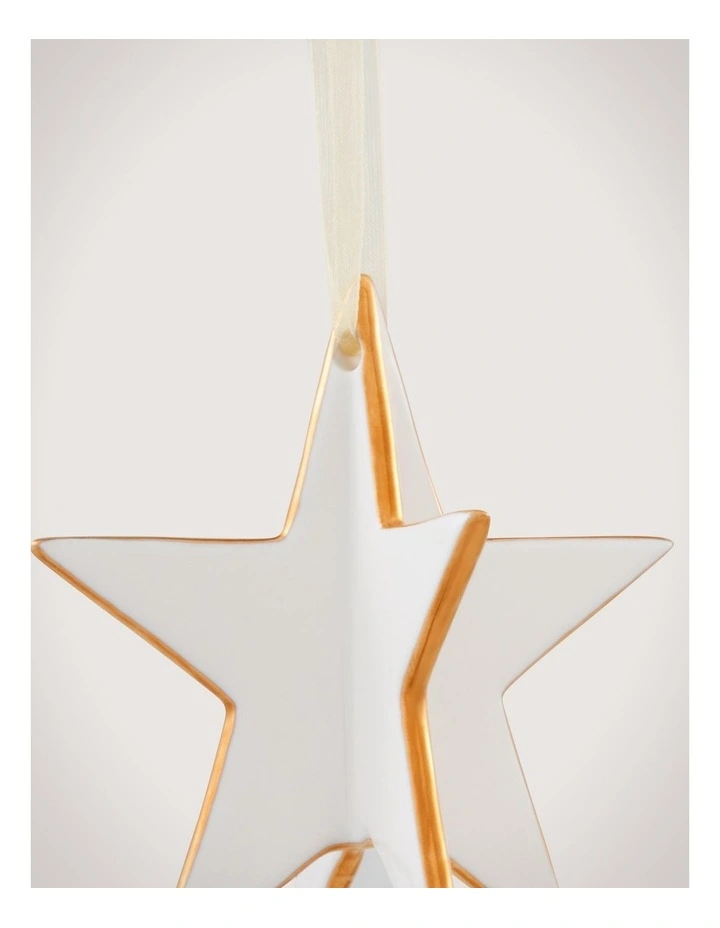 Gold Tip 8cm Star in White image 2
