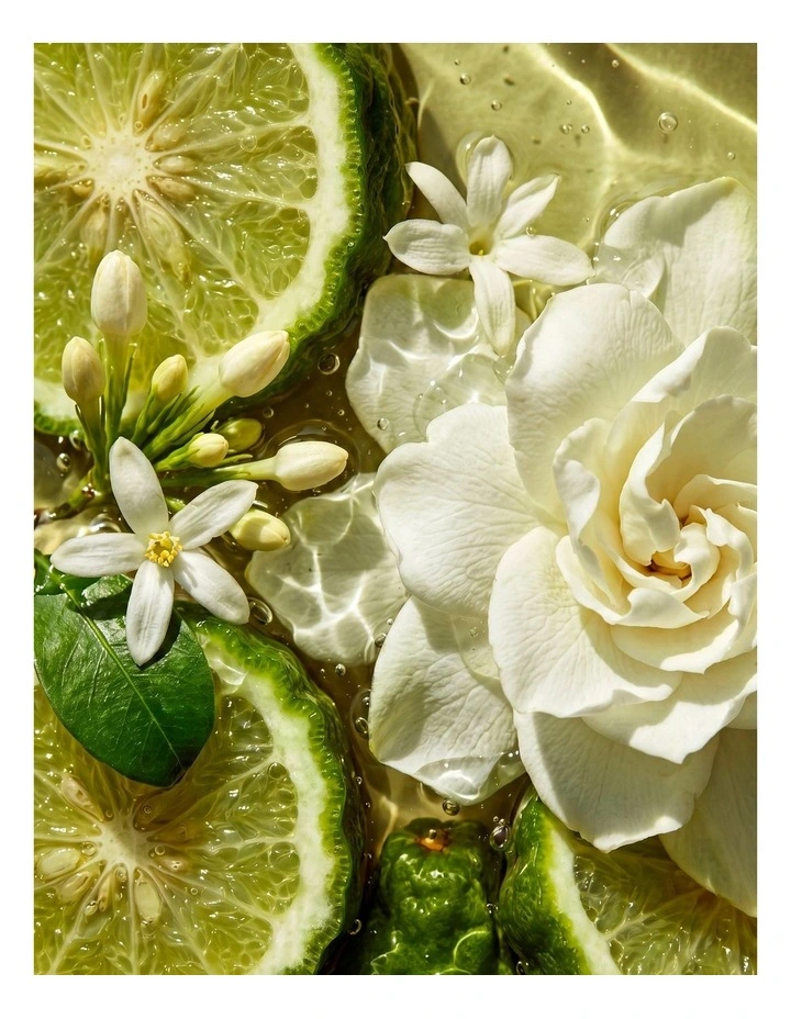 Sol Candle in Clear image 4