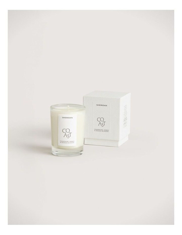 Coast Votive Candle - Champagne, Amber & Orange Blossom image 1