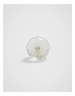 Dandelion Paperweight in Clear