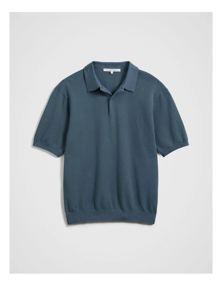 Knit Polo Shirt in Blue image 4