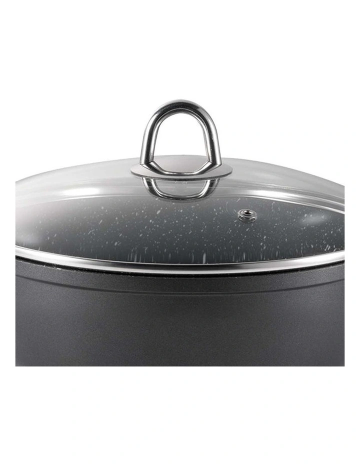 Baccarat Granite Casserole With Lid 24 x 11 cm image 3