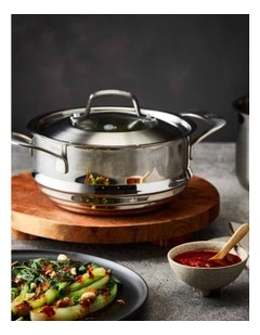 Baccarat iD3 Stainless Steel Universal Steamer With Lid 20cm in SIlver
