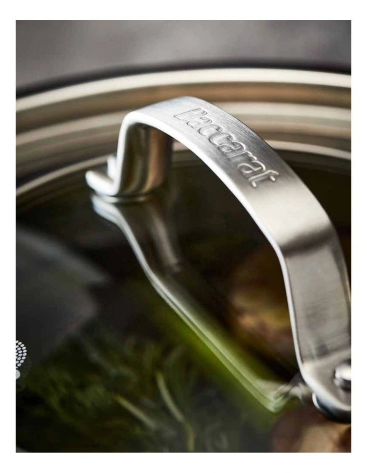 Baccarat iD3 Stainless Stockpot With Lid 24cm in Silver image 6