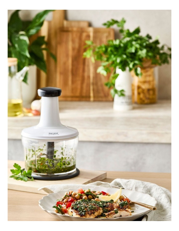 Baccarat Prepare Food Chopper image 4