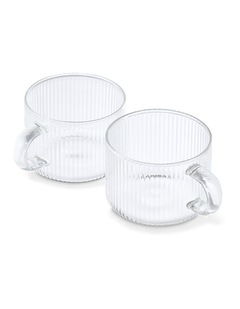 salt&pepper Brew Rib Tea Cups 300mL Set of 2 in Clear