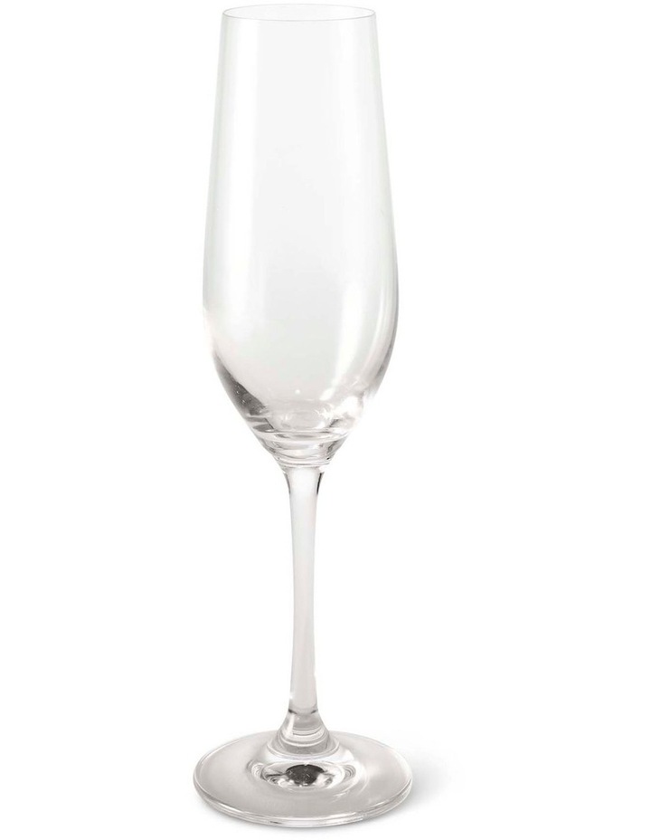 salt&pepper Salut 4 Piece Champagne Flute Set 220mL in Clear image 3