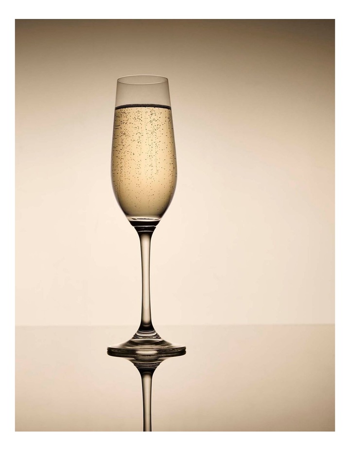 salt&pepper Salut 4 Piece Champagne Flute Set 220mL in Clear image 5