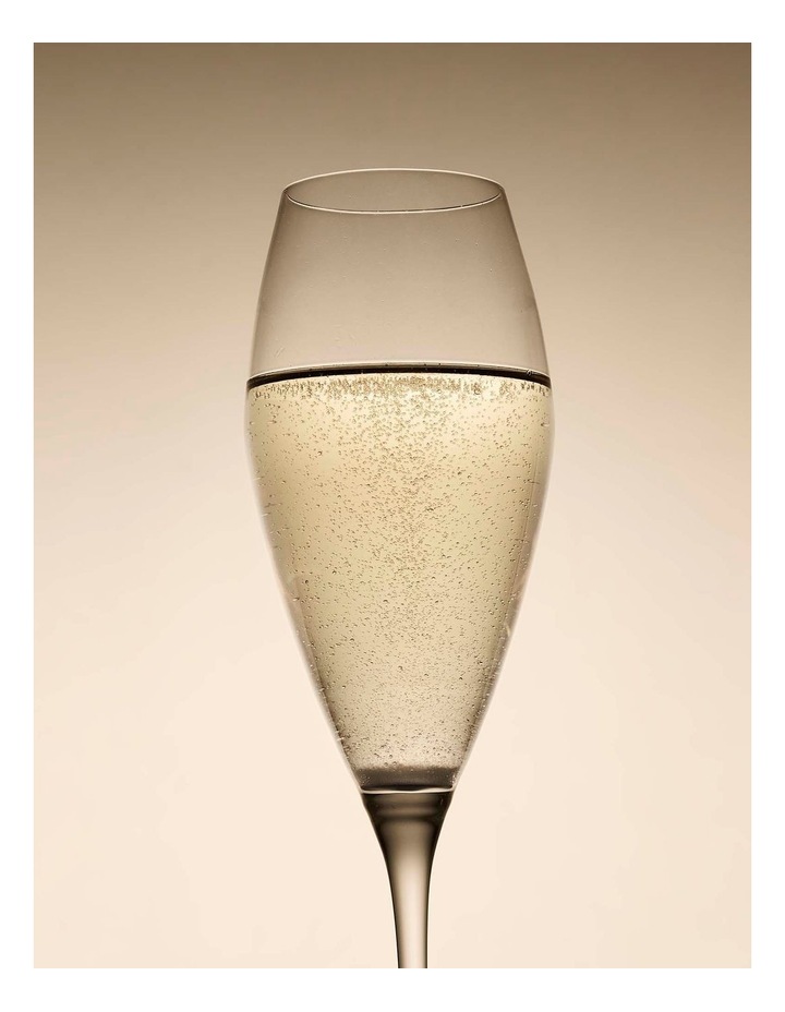 salt&pepper Salut 4 Piece Prosecco Glass Set 270mL in Clear image 7