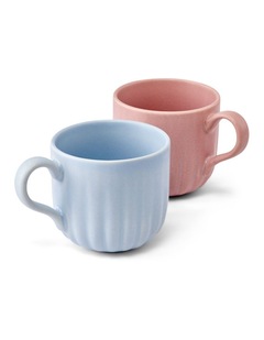 salt&pepper Leif 2 Piece Mug Set 430mL in Cornflower & Bloom