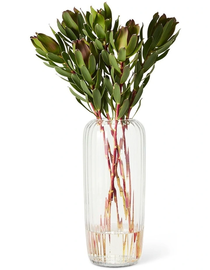 salt&pepper Aurora Vase 32cm in Clear image 2