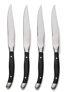 salt&pepper Reese 4 Piece Steak Knife Set