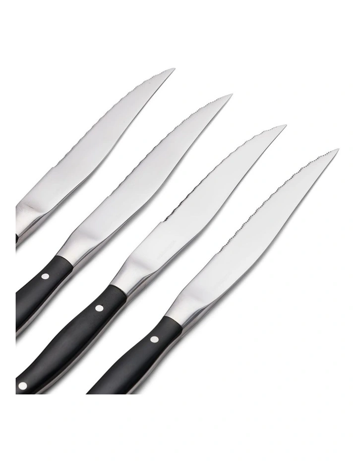 salt&pepper Reese 4 Piece Steak Knife Set image 3