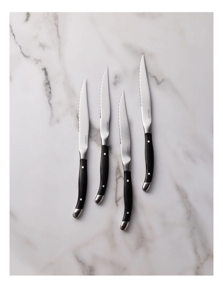 salt&pepper Reese 4 Piece Steak Knife Set image 5