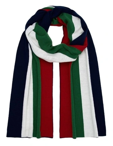 O'Connell Knit Scarf in Multi