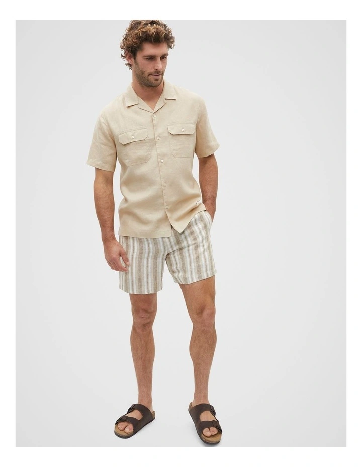Stripe Linen Shorts in Sepia Multi image 4
