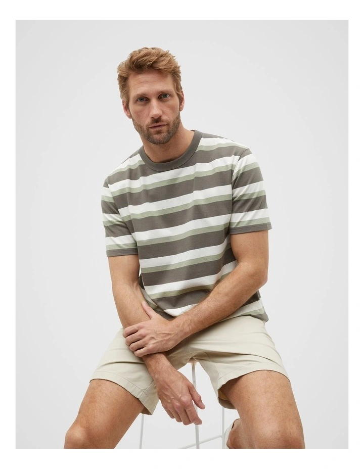 Crew Stripe Tee in Pale Olive Multi image 1