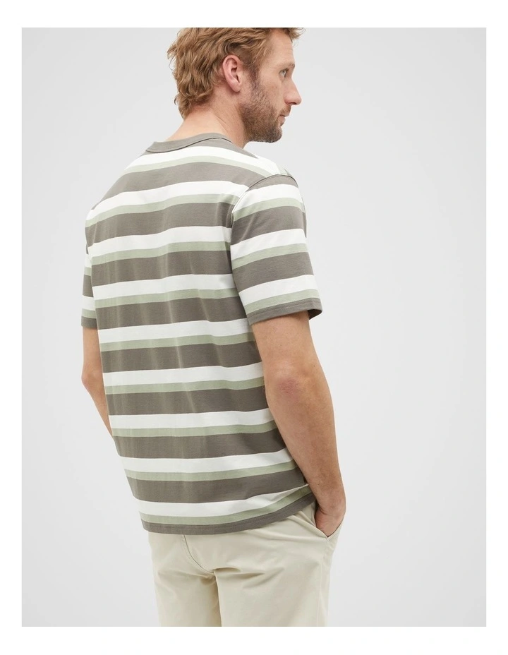 Crew Stripe Tee in Pale Olive Multi image 2