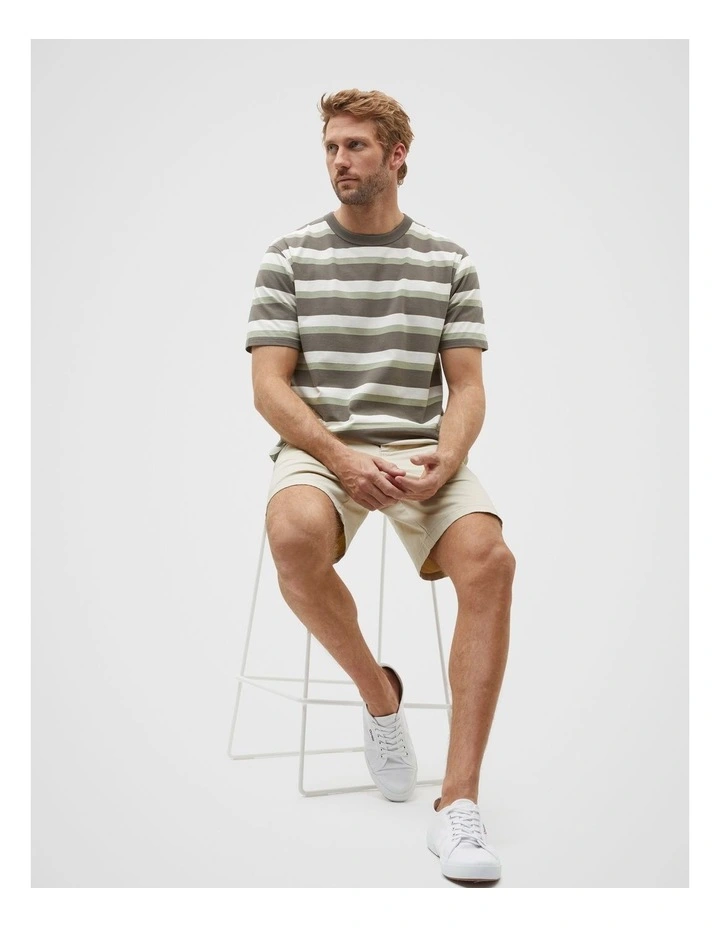 Crew Stripe Tee in Pale Olive Multi image 4