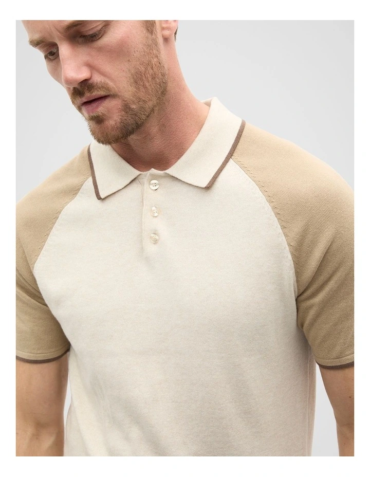 Colourblock Polo in Grey image 4