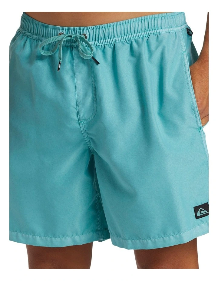 Everyday Surf Wash Volley 17" Swim Shorts in Marine Blue image 4