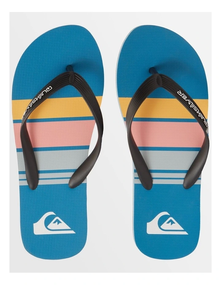 Molokai Stripe Beach Flip-Flops in Blue image 4