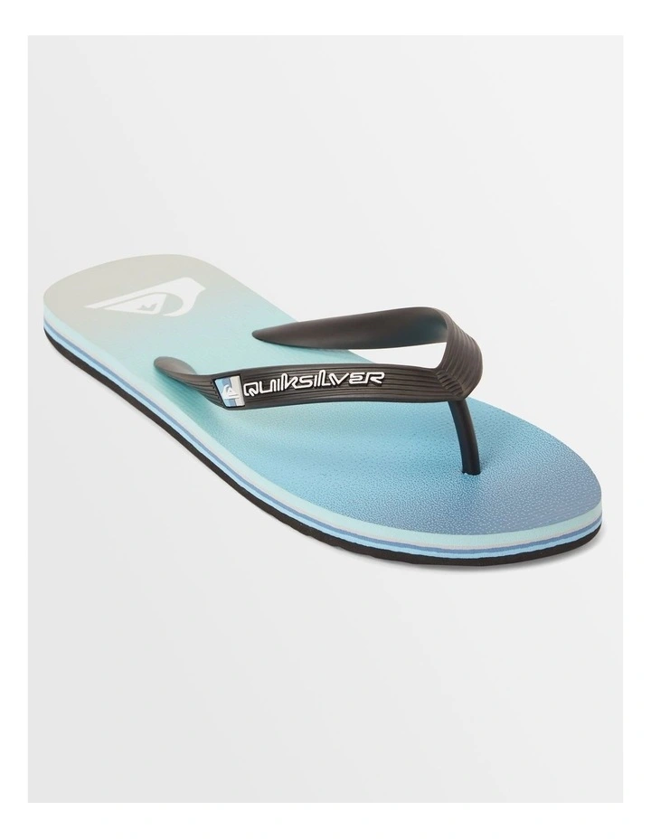 Molokai Stripe Beach Flip-Flops in Blue image 1