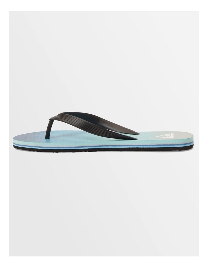 Molokai Stripe Beach Flip-Flops in Blue image 2