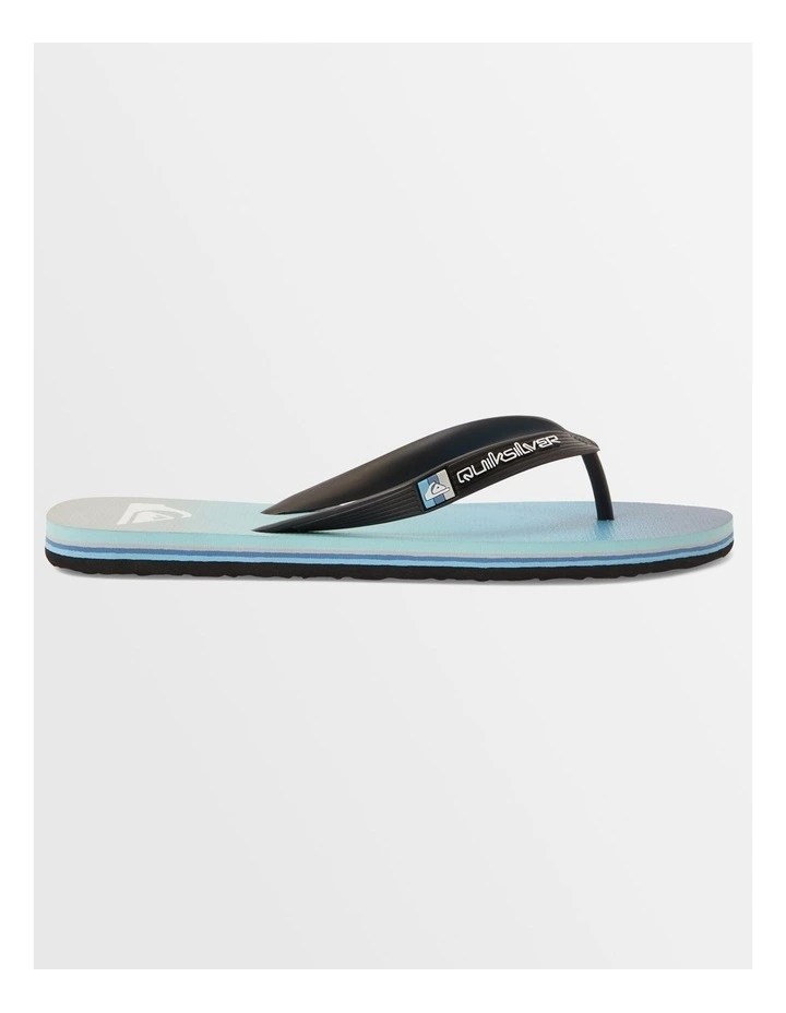 Molokai Stripe Beach Flip-Flops in Blue image 3