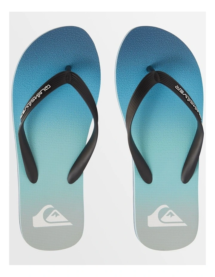 Molokai Stripe Beach Flip-Flops in Blue image 4
