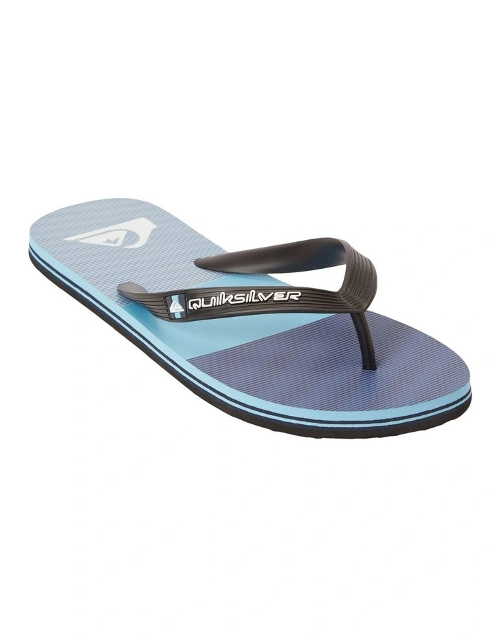 Molokai Stripe Beach Flip-Flops in Blue image 1