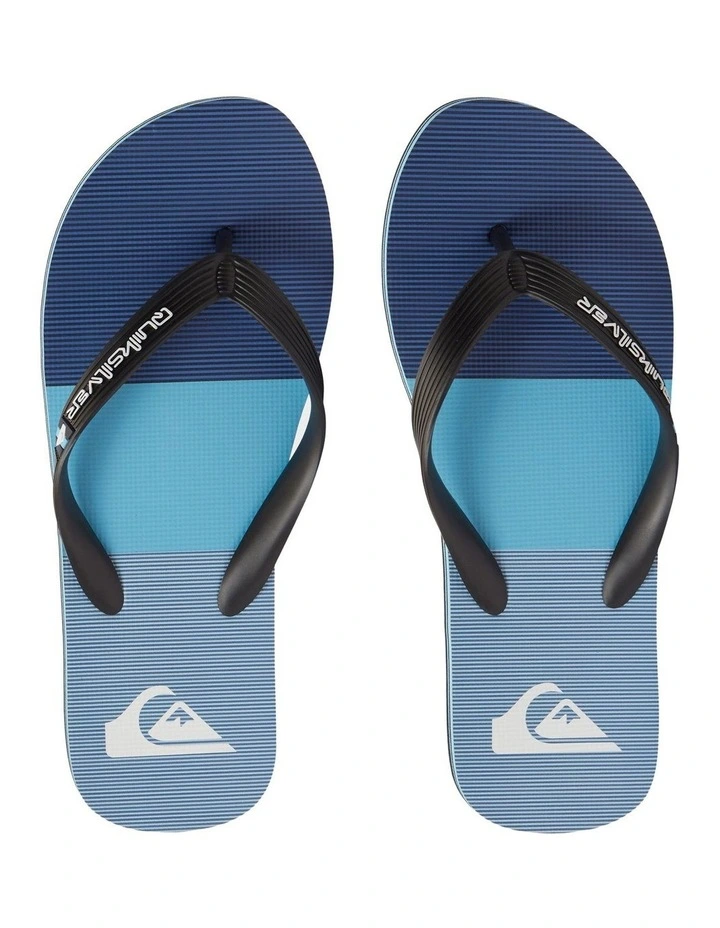 Molokai Stripe Beach Flip-Flops in Blue image 4