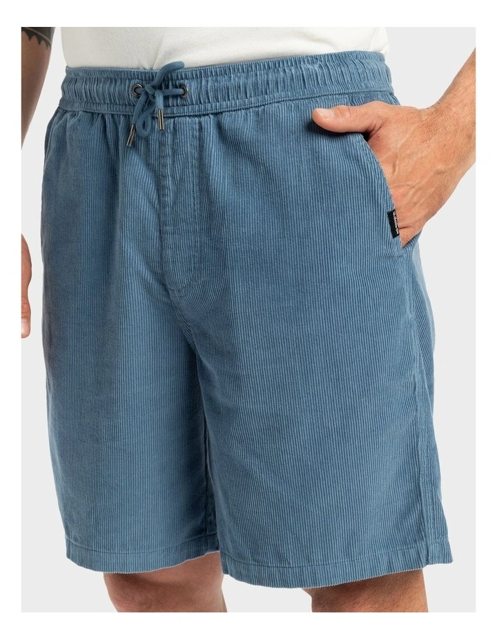 Taxer 18 Inch Corduroy Walkshorts in Blue image 4