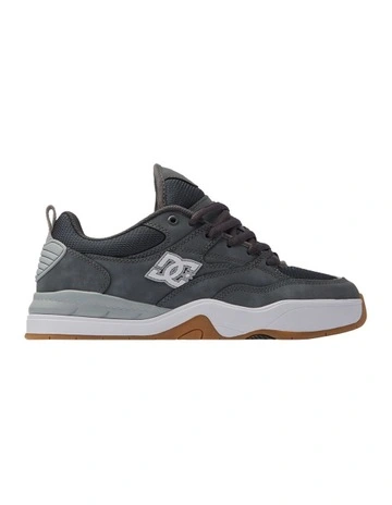Ascend Shoes in Grey