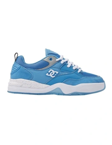 Ascend S Shoes in Blue