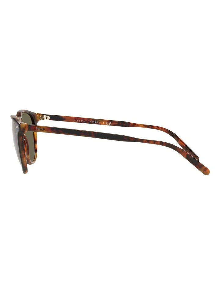 Panto Sunglasses in Black image 3