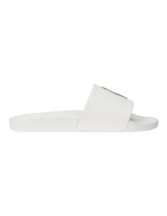 Polo Bear Slide