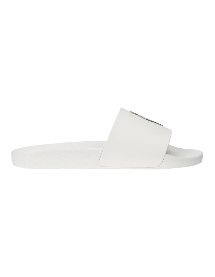 Polo Bear Slide image 1