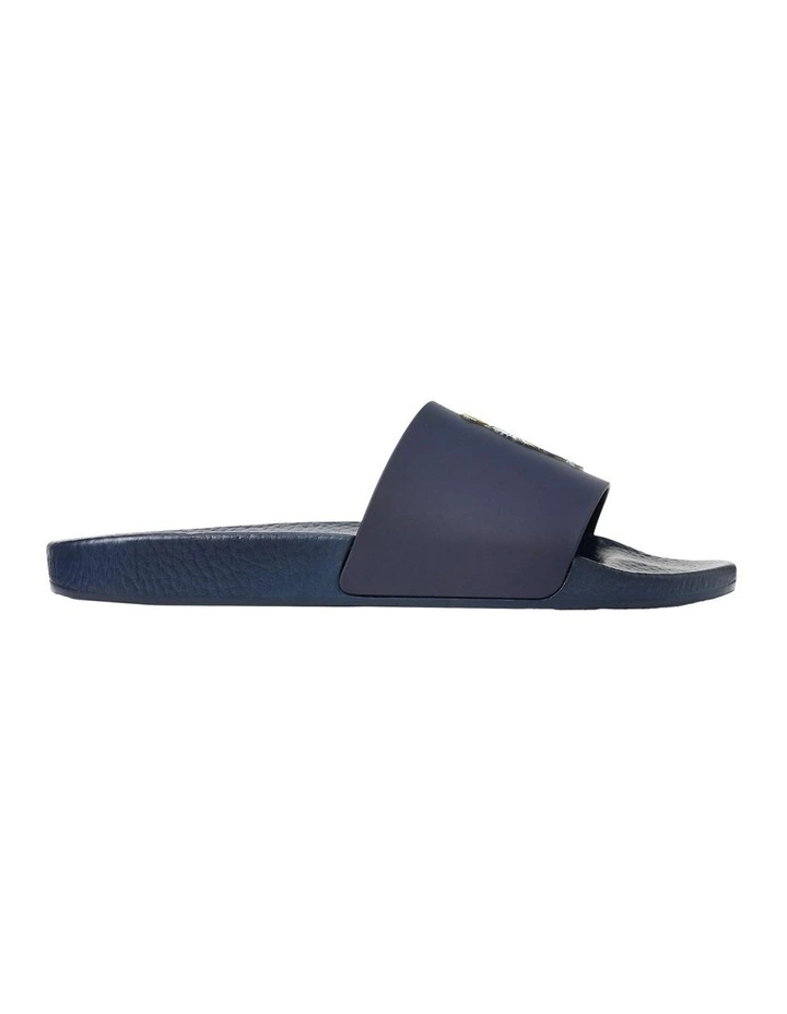 Polo Bear Slide image 1