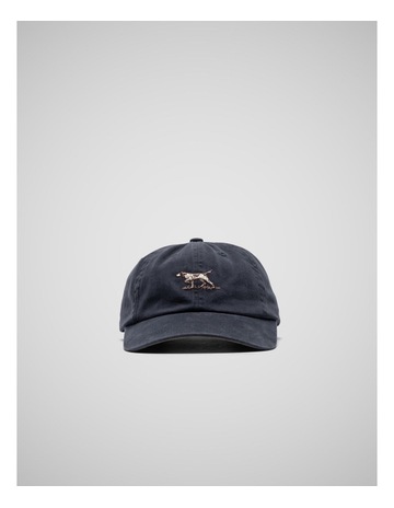 Navy colour