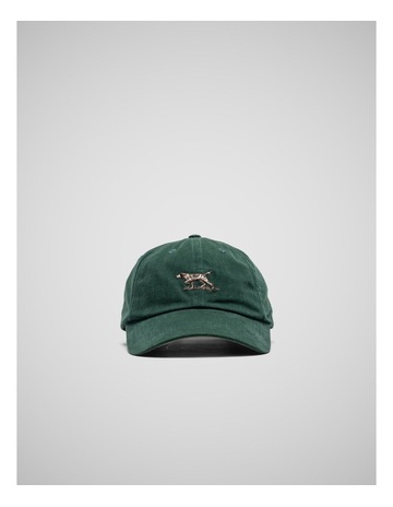 Bottle Green Oxford colour